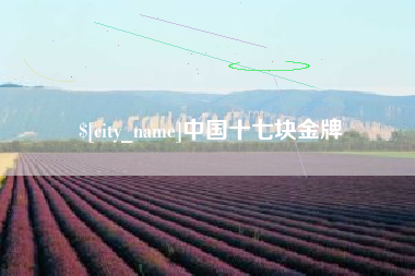 鹿邑中国十七块金牌