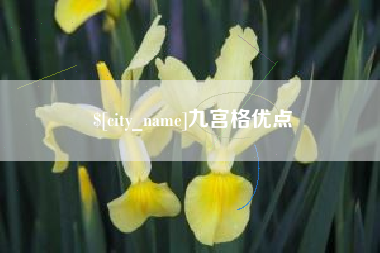 鹿邑九宫格优点
