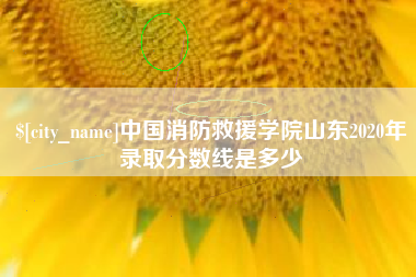鹿邑中国消防救援学院山东2020年录取分数线是多少