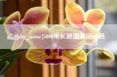 鹿邑5000米长跑国家运动员