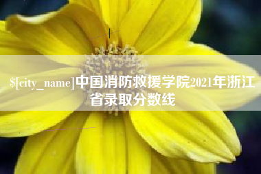 鹿邑中国消防救援学院2021年浙江省录取分数线