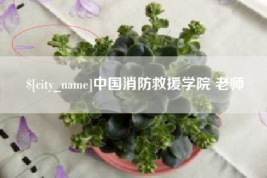 鹿邑中国消防救援学院 老师