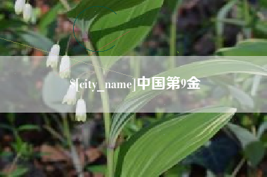 鹿邑中国第9金
