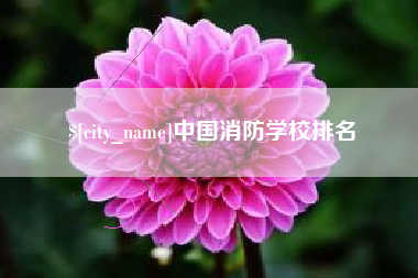 鹿邑中国消防学校排名