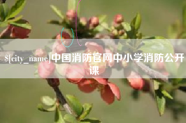 鹿邑中国消防官网中小学消防公开课