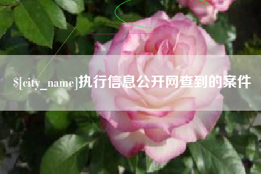 鹿邑执行信息公开网查到的案件