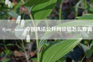 鹿邑中国执法公开网征信怎么查询