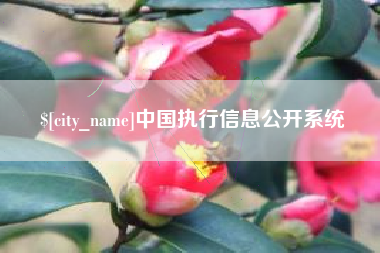 鹿邑中国执行信息公开系统