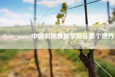 鹿邑中国消防救援学院在那个地方