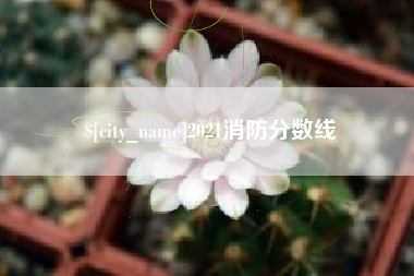鹿邑2021消防分数线