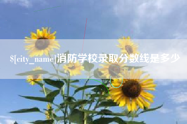 鹿邑消防学校录取分数线是多少