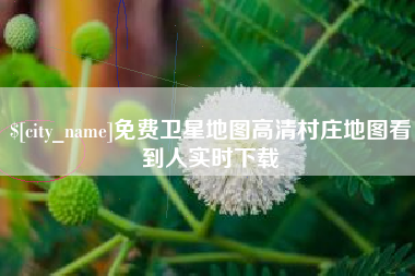 鹿邑免费卫星地图高清村庄地图看到人实时下载