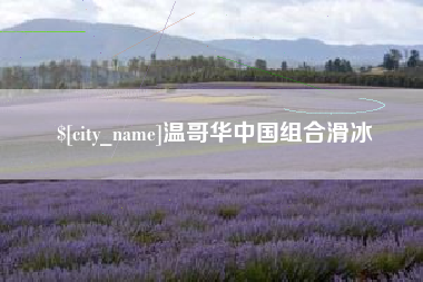 鹿邑温哥华中国组合滑冰