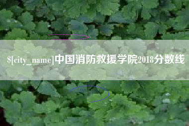 鹿邑中国消防救援学院2018分数线