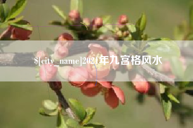 鹿邑2021年九宫格风水