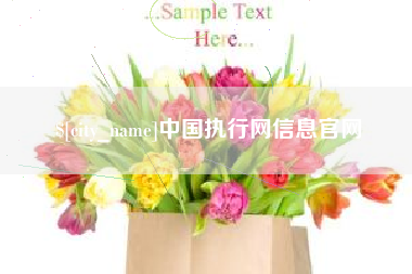 鹿邑中国执行网信息官网