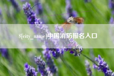 鹿邑中国消防报名入口