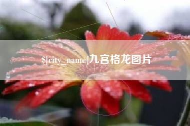 鹿邑九宫格龙图片