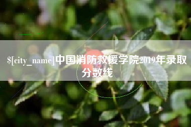 鹿邑中国消防救援学院2019年录取分数线