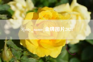 鹿邑金牌图片2021