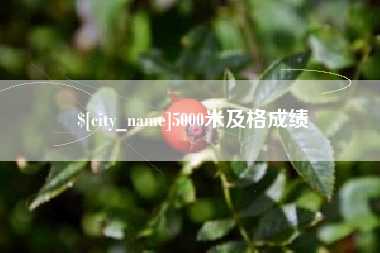 鹿邑5000米及格成绩