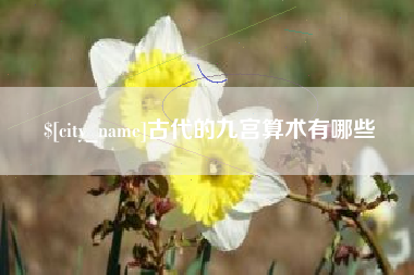 鹿邑古代的九宫算术有哪些
