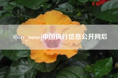 鹿邑中国执行信息公开网后