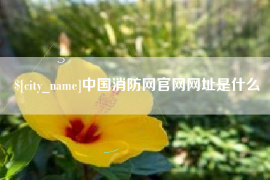 鹿邑中国消防网官网网址是什么