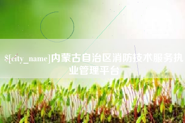 鹿邑内蒙古自治区消防技术服务执业管理平台