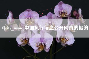 鹿邑中国执行信息公开网真的假的