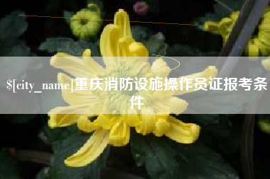 鹿邑重庆消防设施操作员证报考条件