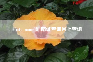 鹿邑消防证查询网上查询