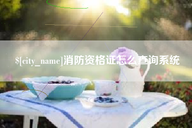 鹿邑消防资格证怎么查询系统