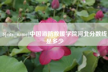 鹿邑中国消防救援学院河北分数线是多少