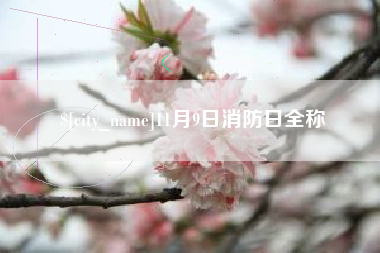 鹿邑11月9日消防日全称