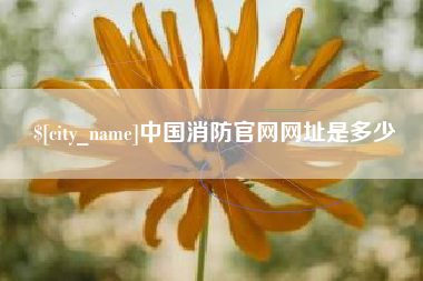 鹿邑中国消防官网网址是多少