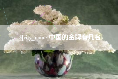 鹿邑中国的金牌有几名