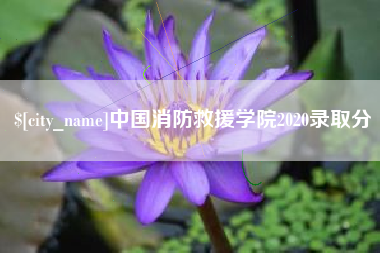 鹿邑中国消防救援学院2020录取分
