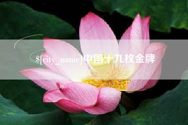 鹿邑中国十九枚金牌
