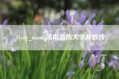 鹿邑河南消防大学分数线