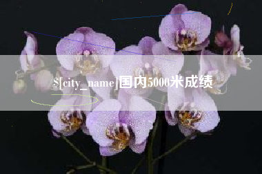 鹿邑国内5000米成绩