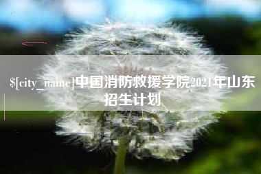 鹿邑中国消防救援学院2021年山东招生计划