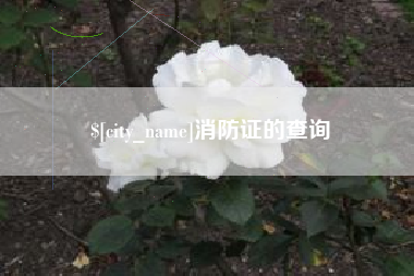 鹿邑消防证的查询