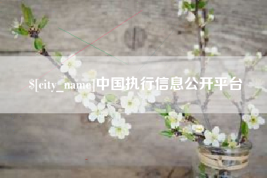 鹿邑中国执行信息公开平台