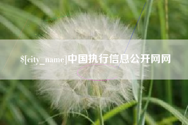 鹿邑中国执行信息公开网网