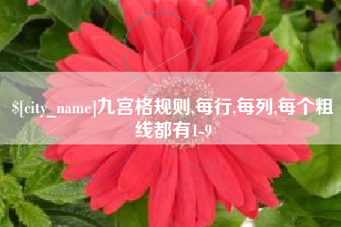 鹿邑九宫格规则,每行,每列,每个粗线都有1-9
