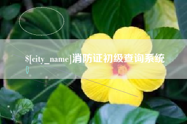鹿邑消防证初级查询系统