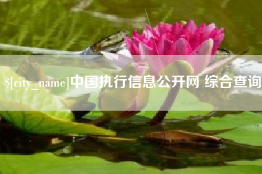 鹿邑中国执行信息公开网 综合查询