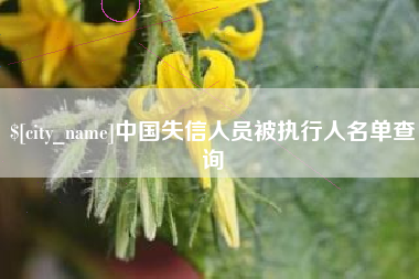 鹿邑中国失信人员被执行人名单查询