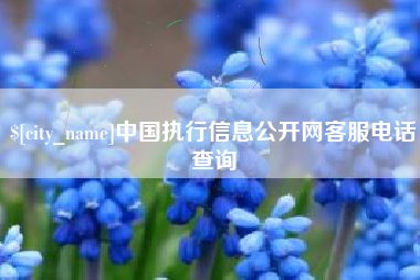 鹿邑中国执行信息公开网客服电话查询